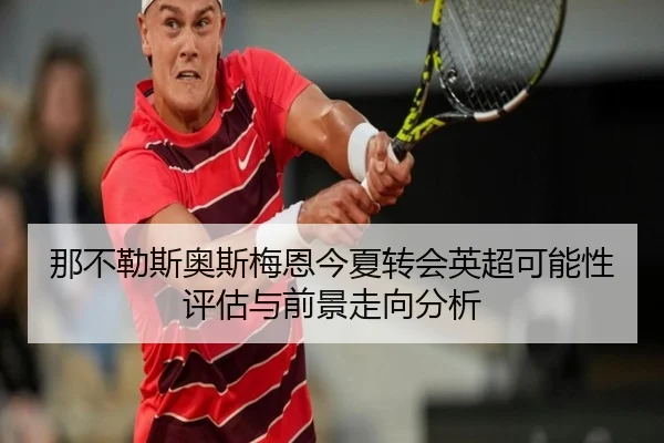 那不勒斯奥斯梅恩今夏转会英超可能性评估与前景走向分析