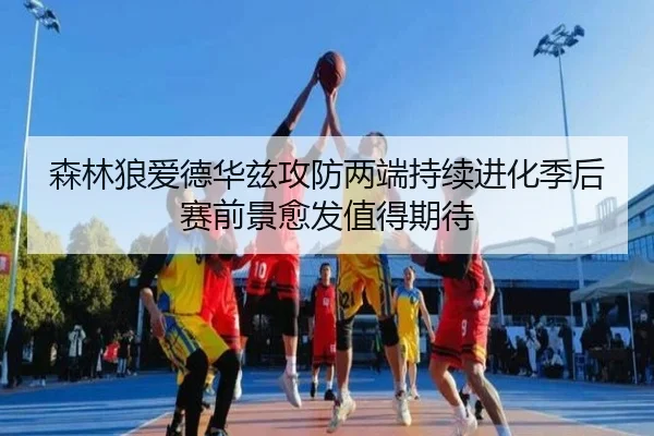 森林狼爱德华兹攻防两端持续进化季后赛前景愈发值得期待