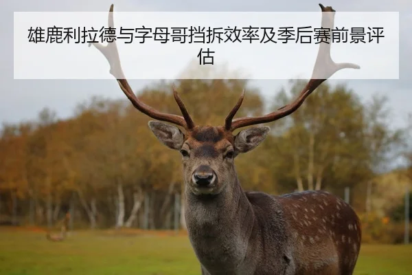 雄鹿利拉德与字母哥挡拆效率及季后赛前景评估