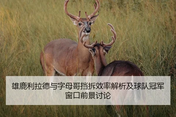 雄鹿利拉德与字母哥挡拆效率解析及球队冠军窗口前景讨论